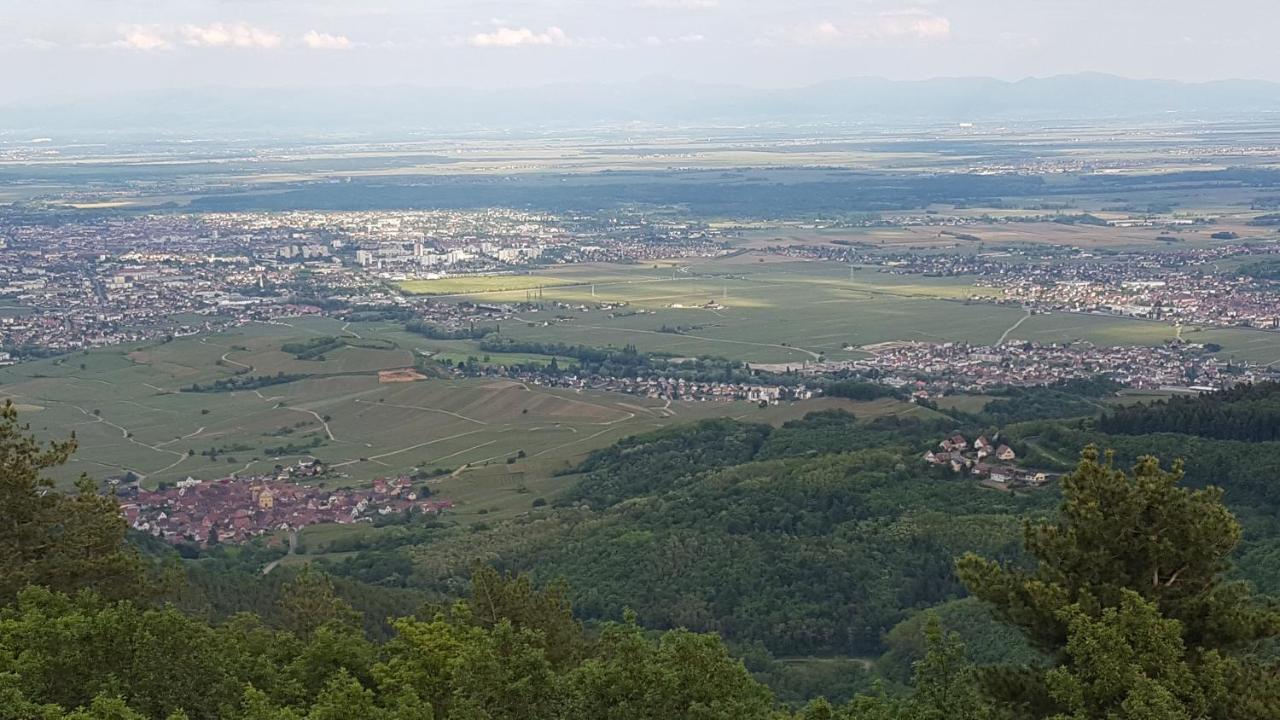 Les Iris Chambres D'Hote Niedermorschwihr Dış mekan fotoğraf