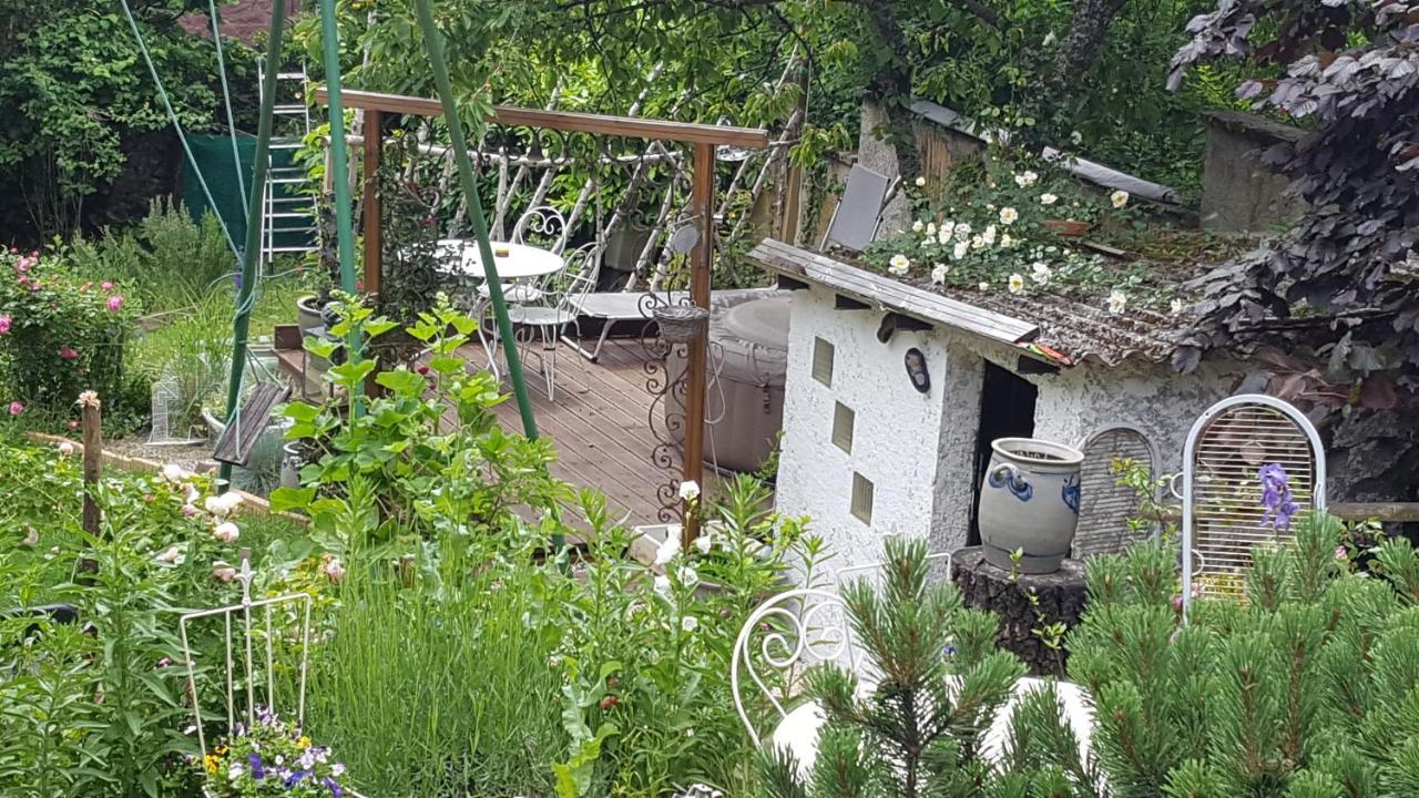 Les Iris Chambres D'Hote Niedermorschwihr Dış mekan fotoğraf